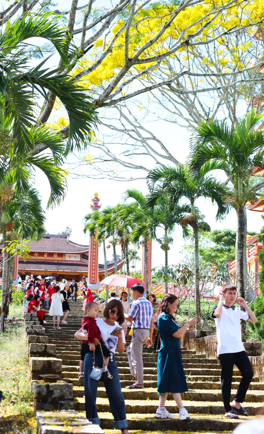 Nhiều người dân đến Tu viện Bát Nhã (xã Đam B’ri, TP Bảo Lộc) để lễ phật và chiêm ngưỡng phong cảnh đẹp với hoa phượng vàng đang nở rộ. Ảnh: VT Nhiều người dân đến Tu viện Bát Nhã (xã Đam B’ri, TP Bảo Lộc) để lễ phật và chiêm ngưỡng phong cảnh đẹp với hoa phượng vàng đang nở rộ. Ảnh: VT