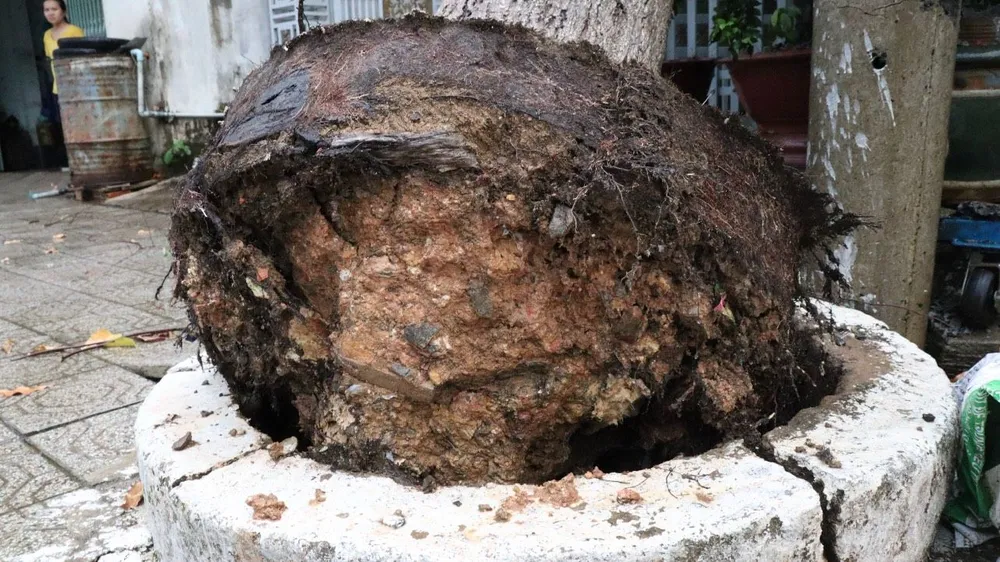 Các lực lượng đã giải phóng hiện trường để đảm bảo an toàn giao thông trên các tuyến đường.