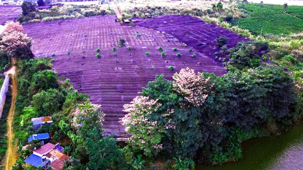 Một góc ngoại ô TP Bảo Lộc