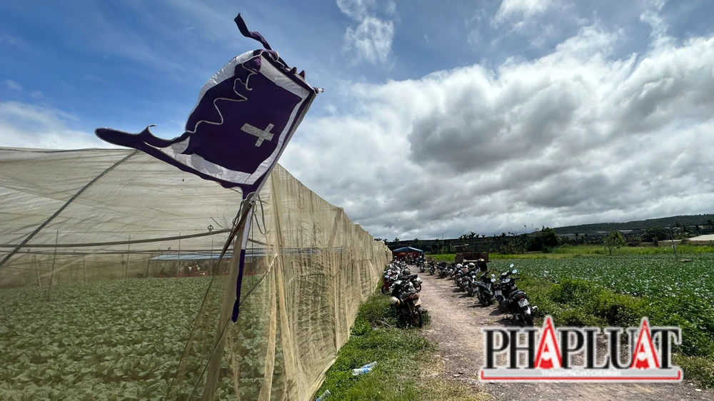 Tang thương bao trùm khu vực thị trấn Thạnh Mỹ. Ảnh: VÕ TÙNG