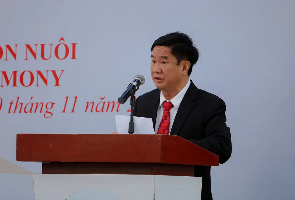 36 gia đình EU nhận con nuôi Việt Nam ảnh 2