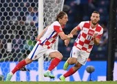 Croatia săn bò tót