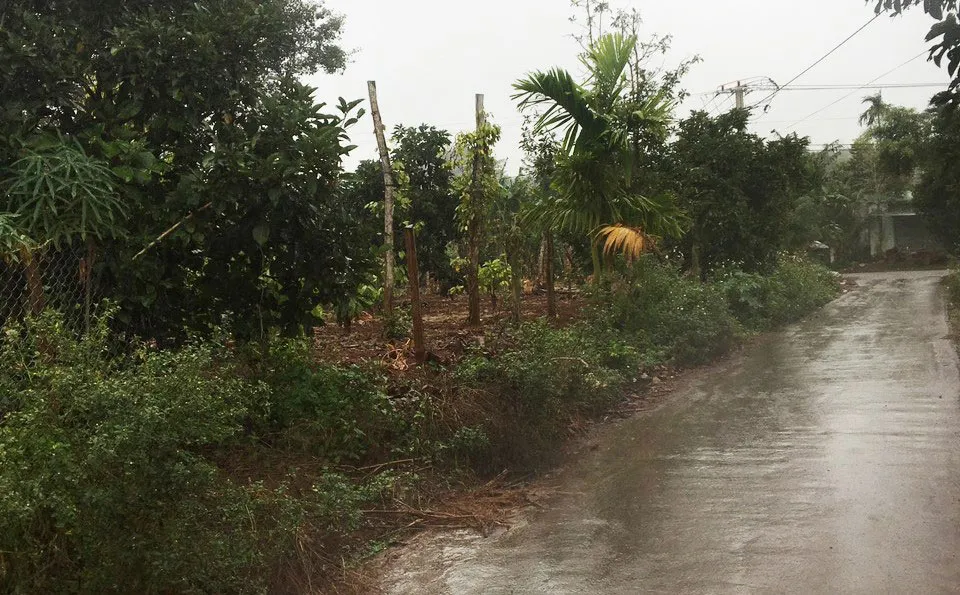 Khu vực đất được cấp giấy chứng nhận của gia đình bà Liệu. Ảnh: VŨ LONG