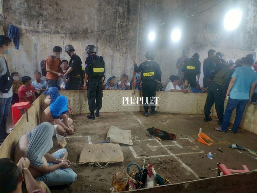 Công an phát hiện sới gà “khủng” ở bãi đất trống tại quận 6 hồi tháng 9-2020. Ảnh: HT