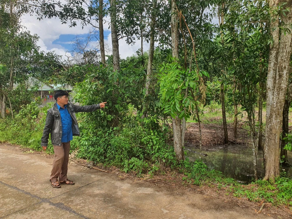 Thửa đất của vợ chồng ông TVP bị đưa ra bán đấu giá nhưng gia đình ông không hề hay biết. Ảnh: MINH KHÔI