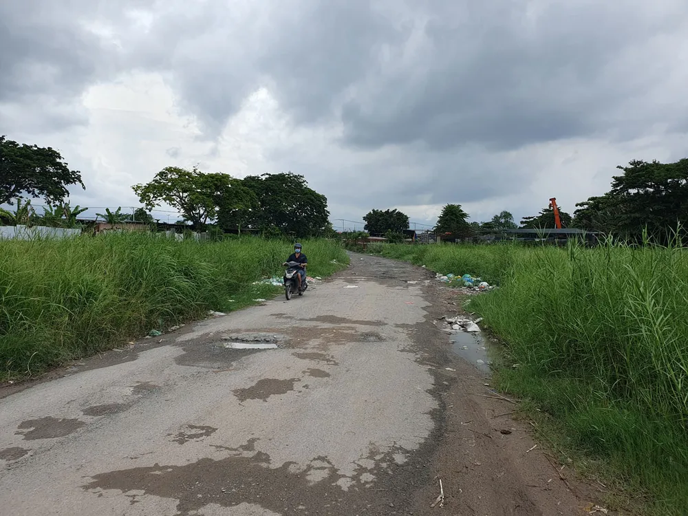 Đường vào dự án thành phần khu 6B (khu dân cư 6B-1,2) gồ ghề, hai bên cỏ mọc um tùm. Ảnh: KC