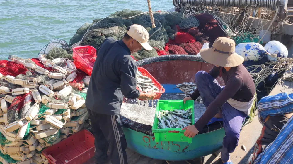 Tàu thuyền của ngư dân vào cảng Cửa Việt, huyện Gio Linh, Quảng Trị sau mỗi chuyến biển. Ảnh: NGUYỄN DO