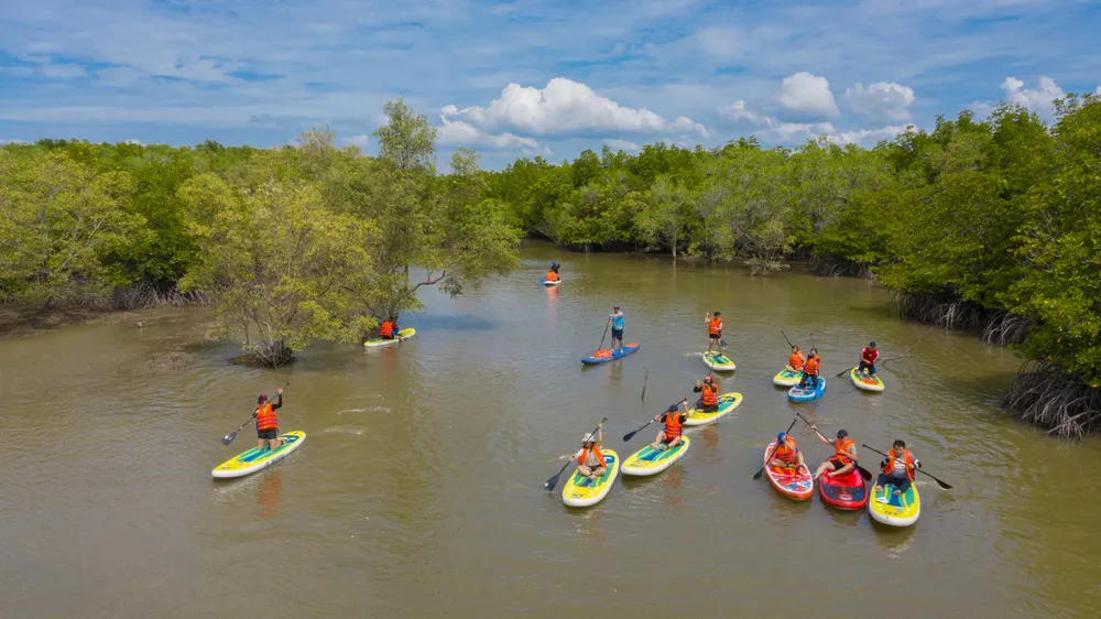 Tour chèo sup xuyên rừng Cần Giờ được nhiều người ưa thích. Ảnh: THU TRINH