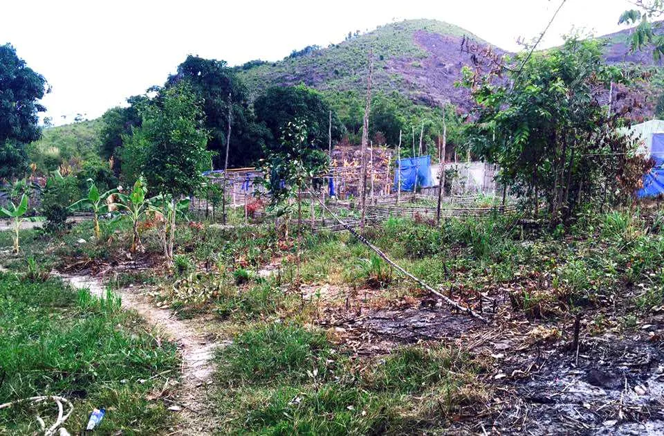 Dự án trồng rừng ở xã Phước Đồng, TP Nha Trang hơn năm năm chưa được giao đất thực hiện. Ảnh: TN Dự án trồng rừng ở xã Phước Đồng, TP Nha Trang hơn năm năm chưa được giao đất thực hiện. Ảnh: TN