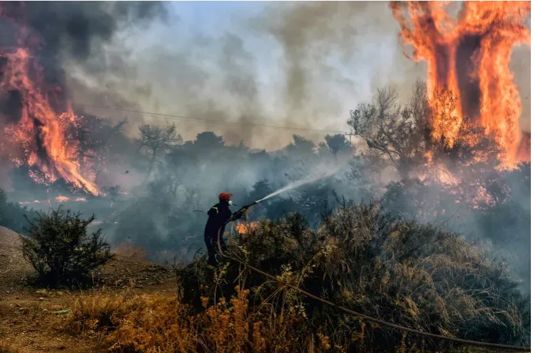 Anh 3-P16 dang 4-12-2023-Chay rung Hy Lap.PNG