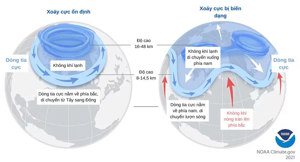 Ảnh box bài P16 đăng 24-1-2024-Lạnh giá cực đoan.png
