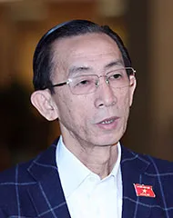 Chính quyền đô thị TP.HCM: Sức bật mới cho phát triển ảnh 4