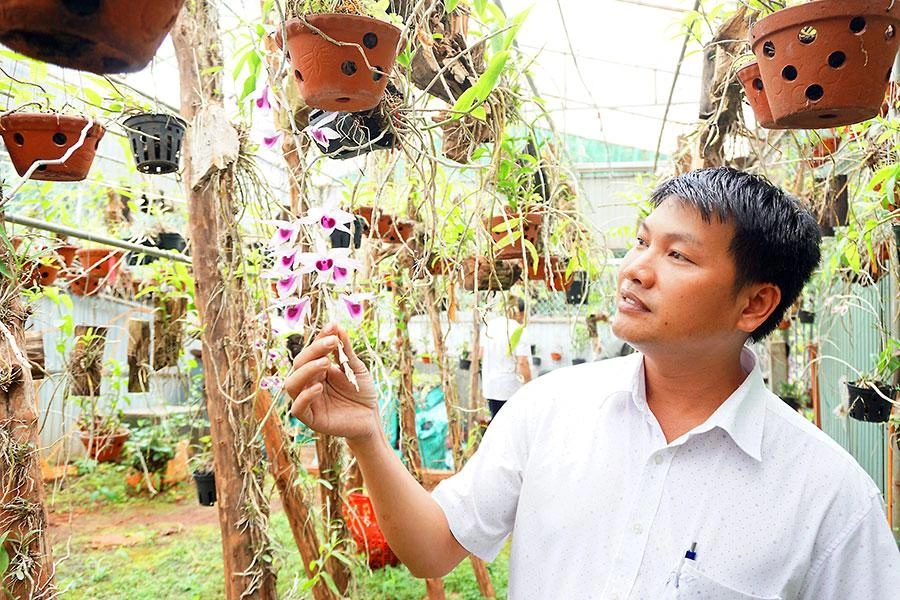 Anh Nguyễn Quốc Tư trở thành tỉ phú hoa lan và là cha đẻ của “thần dược” dịch chuối.