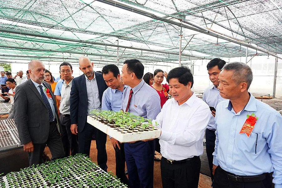 Chính quyền tỉnh Gia Lai đang giới thiệu mô hình nông nghiệp công nghệ cao tại huyện Mang Yang tới các nhà đầu tư. Ảnh: LK