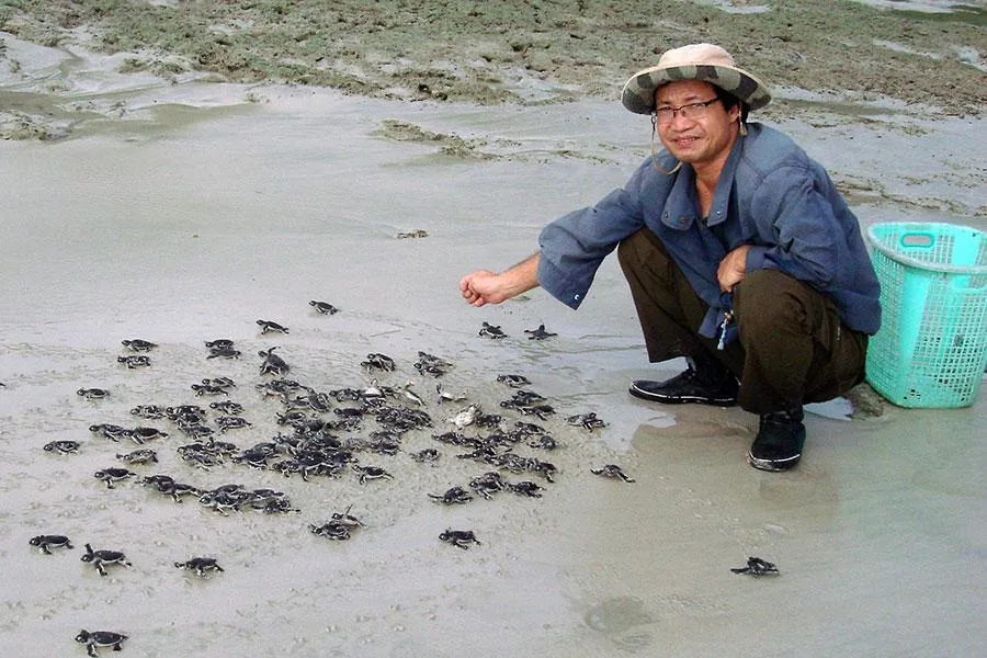 “Người cứu hộ rùa biển số một thế giới” Lê Xuân Ái lúc sinh thời. Ảnh: TB “Người cứu hộ rùa biển số một thế giới” Lê Xuân Ái lúc sinh thời. Ảnh: TB