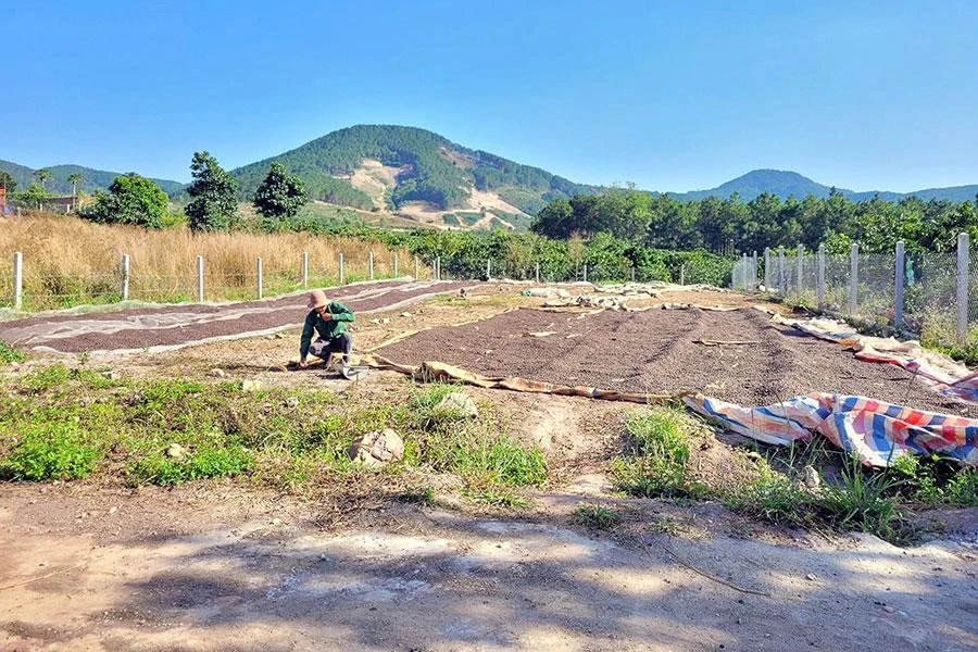 Đất có đường vào quá nhỏ, chỉ di chuyển được bằng xe máy, xe ba gác thì sẽ rất khó giao dịch. Ảnh: QUANG HUY Đất có đường vào quá nhỏ, chỉ di chuyển được bằng xe máy, xe ba gác thì sẽ rất khó giao dịch. Ảnh: QUANG HUY