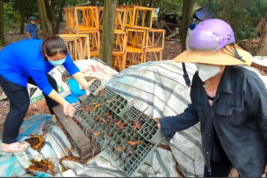 UBND xã Xuân Thới Thượng, huyện Hóc Môn (TP.HCM) thường tổ chức tổng vệ sinh môi trường, phòng ngừa sốt xuất huyết. Ảnh: TRẦN NGỌC