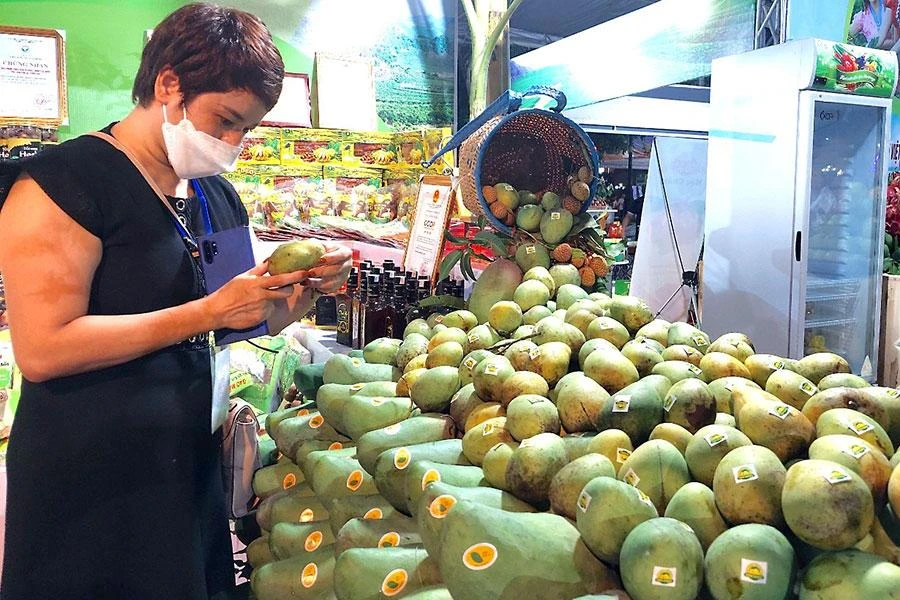 Việc tăng các loại trái cây được xuất khẩu chính ngạch là hướng đi bền vững của ngành hàng trái cây Việt Nam. Ảnh: AN HIỀN