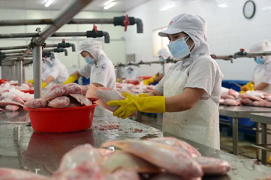 Doanh nghiệp đang rất cần vốn phục vụ mùa sản xuất, kinh doanh cao điểm cuối năm. Ảnh: HOÀNG GIANG Doanh nghiệp đang rất cần vốn phục vụ mùa sản xuất, kinh doanh cao điểm cuối năm. Ảnh: HOÀNG GIANG