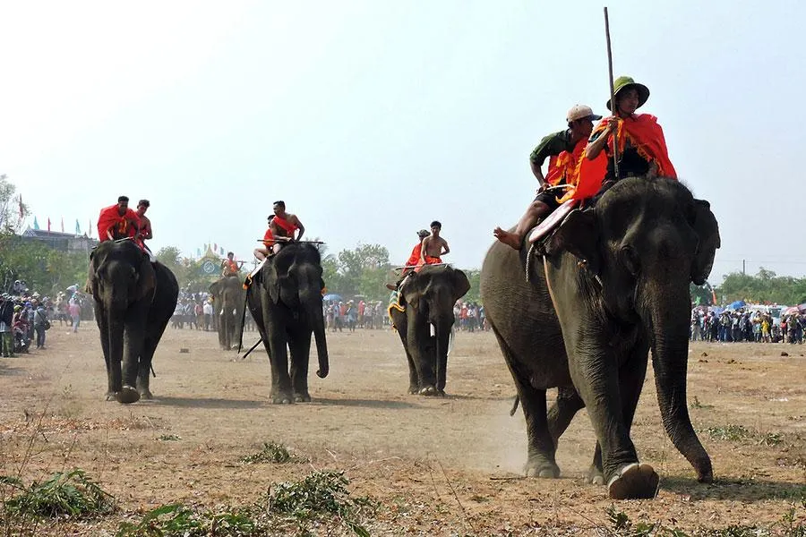 Đua voi trong Lễ hội cà phê ở TP Buôn Ma Thuột. Đua voi trong Lễ hội cà phê ở TP Buôn Ma Thuột.