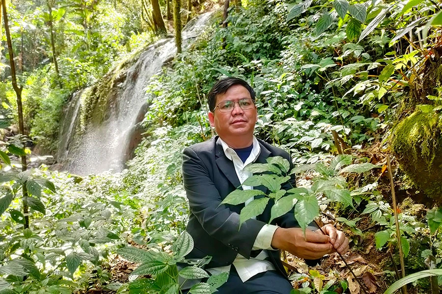 “Vua sâm” Ngọc Linh A Sỹ tại vườn sâm. Ảnh: LÊ KIẾN