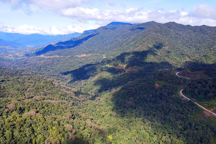 Núi Ngọc Linh, nơi có loài cây đặc hữu sâm Ngọc Linh. Ảnh: LÊ KIẾN
