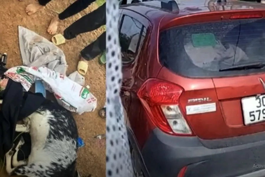 Người dân chặn được ô tô và gọi điện báo công an đến xử lý ba người “bắn nhầm” dê.