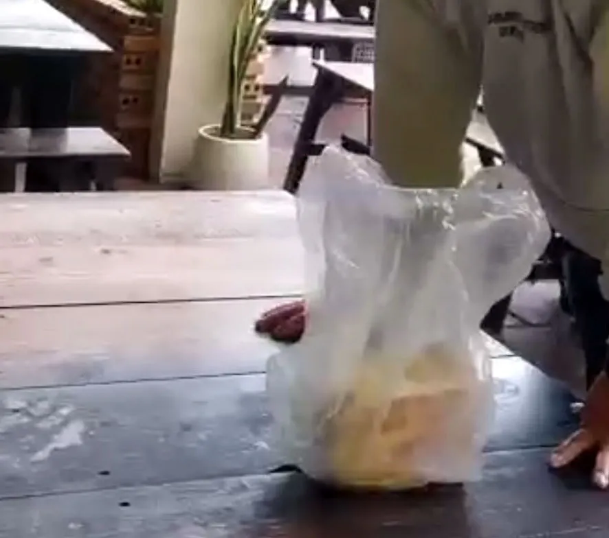 Từ trên xuống: Chế biến, giao nhận vú heo ở các quán Đà Lạt và Em, 118 Phạm Hồng Thái, Thông Reo và Lửng Lơ.