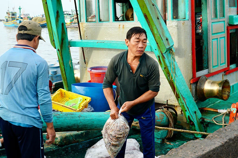 Ngư dân đang chuyển hải sản lên bờ tại cảng Phan Thiết. Ảnh: BẢO PHƯƠNG P23_Chinh-2.jpg