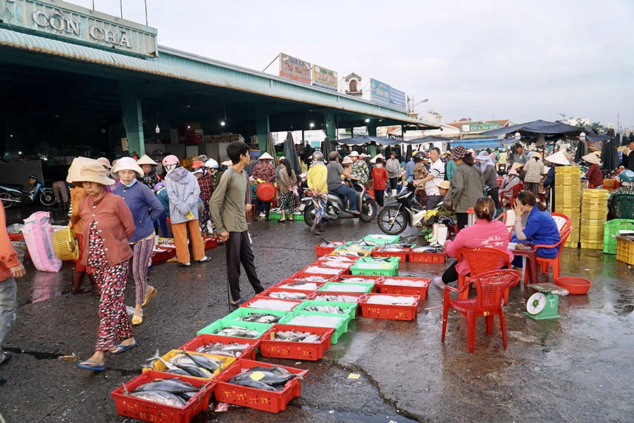 Cảng cá Phan Thiết nhộn nhịp khi các tàu cập bến, đưa hải sản lên bờ. Ảnh trong bài: BẢO PHƯƠNG Bình Thuận phát triển kinh tế biển gắn với bảo vệ môi trường biển