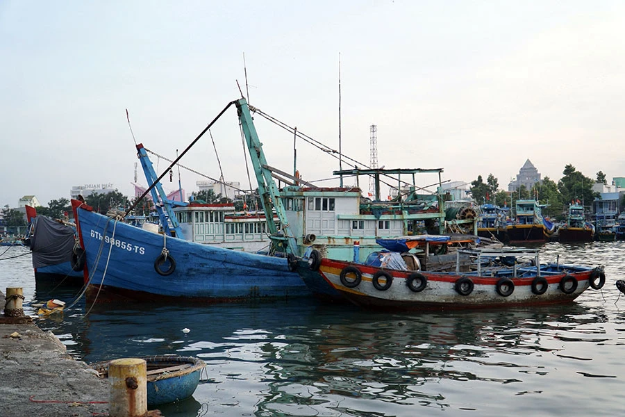 Bình Thuận hướng đến mục tiêu giảm dần tàu cá hoạt động ven bờ, chuyển đổi nghề cho ngư dân. Ảnh: BẢO PHƯƠNG P23_mẩu-dưới-lời-cảm-ơn.jpg