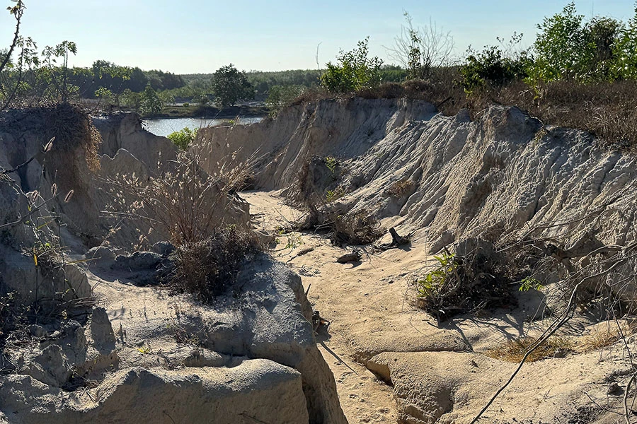 Điều tra 'Công trường sa tặc' trong rừng ở Bình Thuận - Bài 2: Chủ đất tá hỏa vì vườn thành ao, hồ