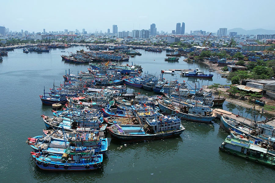 Âu thuyền và cảng cá Thọ Quang, quận Sơn Trà, TP Đà Nẵng là cảng cá lớn nhất miền Trung với khoảng 2.000 tàu thuyền neo đậu thường xuyên. Ảnh: MINH TRƯỜNG P3_Chinh-3.jpg