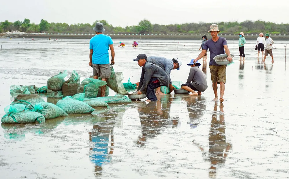 Kinh tế thủy sản Tiền Giang