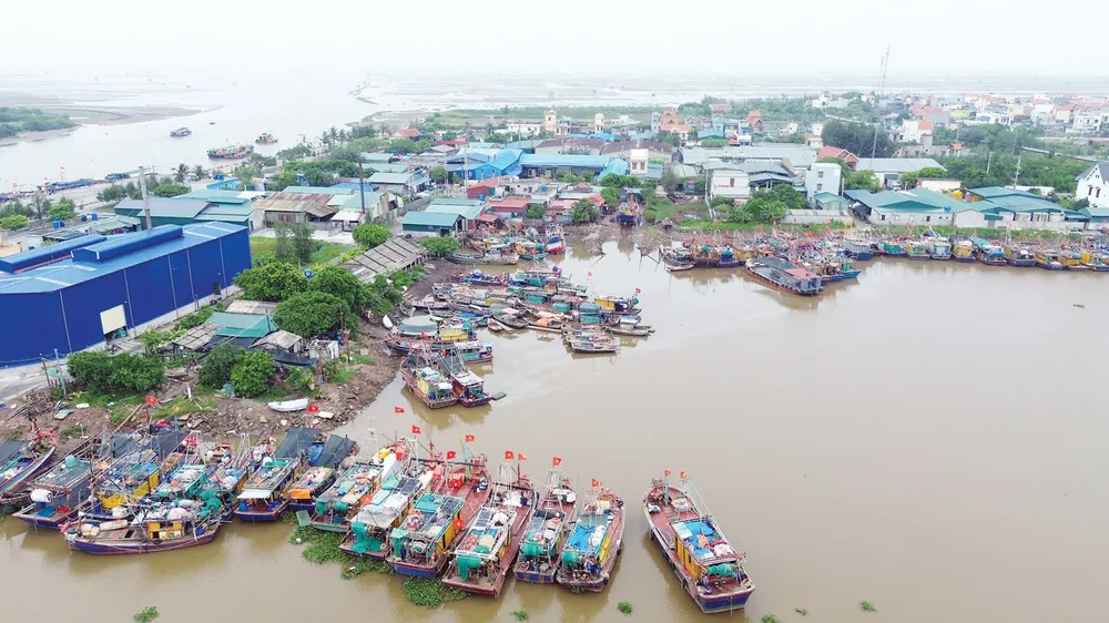Một góc cảng cá Cửa Lân (xã Nam Thịnh, huyện Tiền Hải, Thái Bình). Ảnh: NS P23_ASD_Chinh_h2.jpg