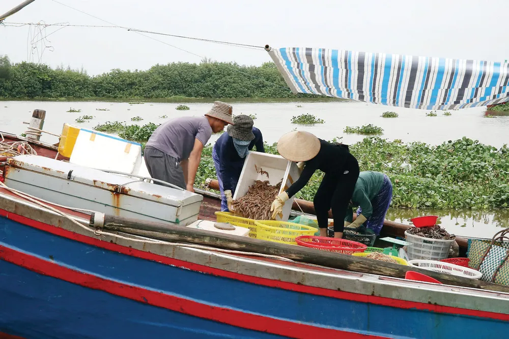Ngư dân tỉnh Thái Bình chuẩn bị đưa hải sản lên bờ sau chuyến đánh bắt trên biển. P23_Cot-phai_h5.jpg