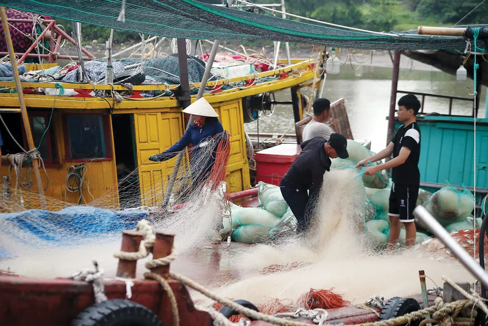 Ngư dân tỉnh Thái Bình yên tâm bám biển với sự sát cánh từ các cấp chính quyền. P23_Cot-phai_h6.jpg