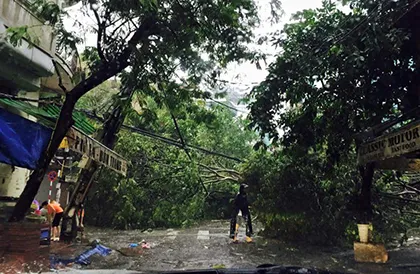 Cây đổ tại phố Hàng Bún, Nguyễn Thái Học (trên facebook Nguyễn Kinh Quốc)