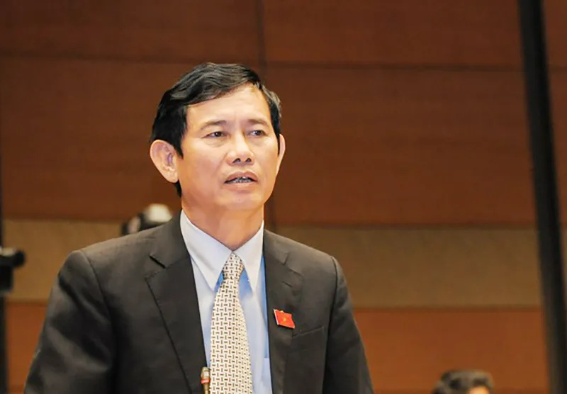 'Nếu tôi là ông Cự, tôi sẽ không tham gia Quốc hội' ảnh 2