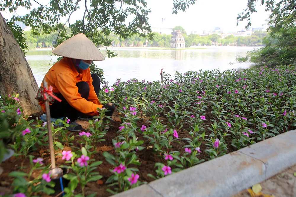 Công trình lát đá vỉa hè, chỉnh trang Hồ Gươm sắp về đích ảnh 2 Công trình lát đá vỉa hè, chỉnh trang Hồ Gươm sắp về đích ảnh 2