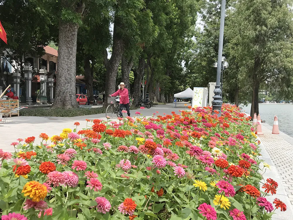 Công trình lát đá vỉa hè, chỉnh trang Hồ Gươm sắp về đích ảnh 1 Công trình lát đá vỉa hè, chỉnh trang Hồ Gươm sắp về đích ảnh 1