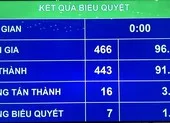 Bộ trưởng TN&MT: Gây ô nhiễm thì tuyệt đối không được xả thải ảnh 3 Quốc hội thông qua Luật Bảo vệ môi trường sửa đổi