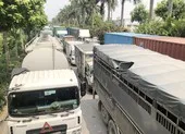 Ùn tắc tại các chốt kiểm soát dịch ở cửa ngõ Hà Nội