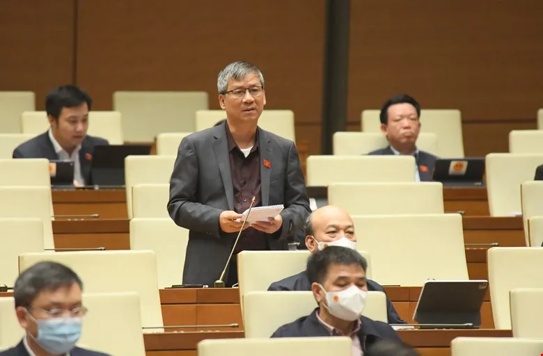 Đề xuất tổ chức Quốc tang cho đồng bào mất do COVID-19 ảnh 1