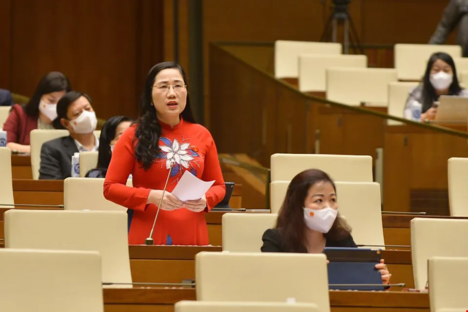 Đại biểu lo gói hỗ trợ 347.000 tỉ chảy vào bất động sản, chứng khoán ảnh 2