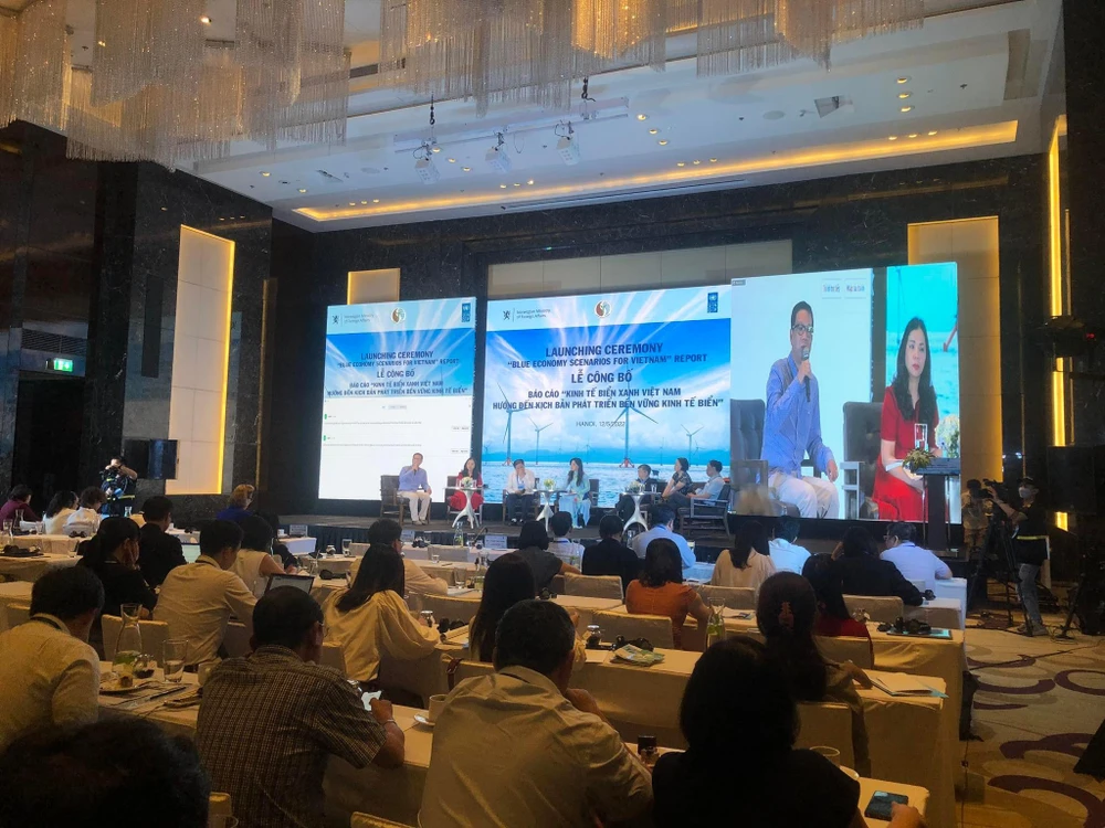 Các chuyên gia, nhà quản lý thảo luận về kịch bản phát triển kinh tế biển bền vững. Ảnh: TRỌNG PHÚ
