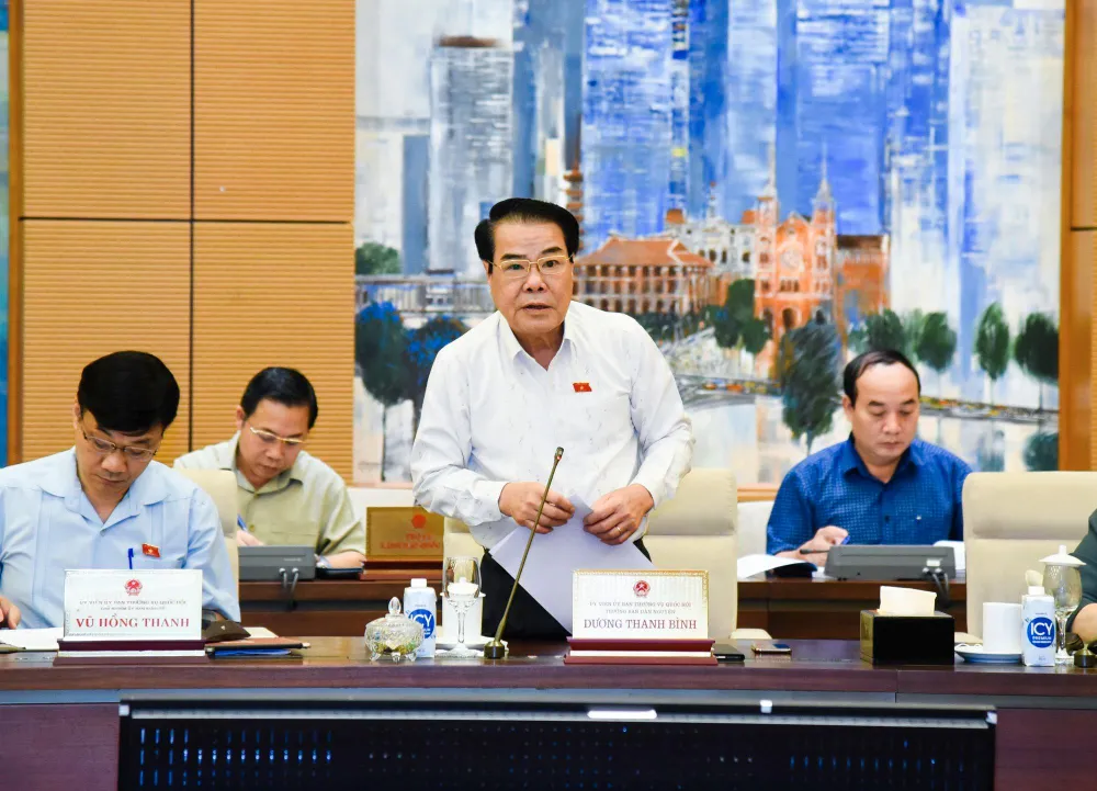 Trưởng ban Dân nguyện Dương Thanh Bình.