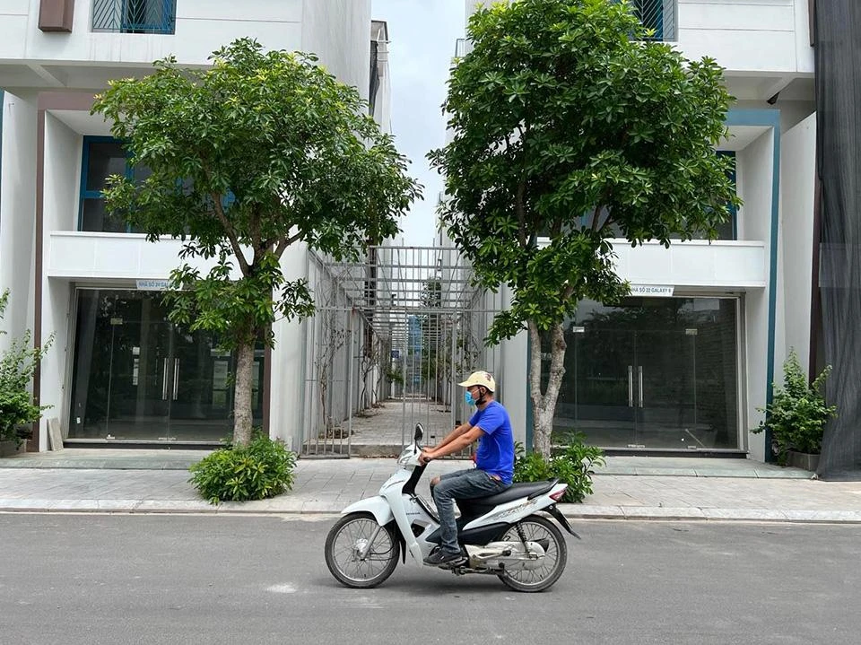 Dự thảo quy định về quản lý cây xanh đô thị trên địa bàn TP đưa ra quy định tránh trồng cây xanh chính diện nhà dân, trụ sở cơ quan