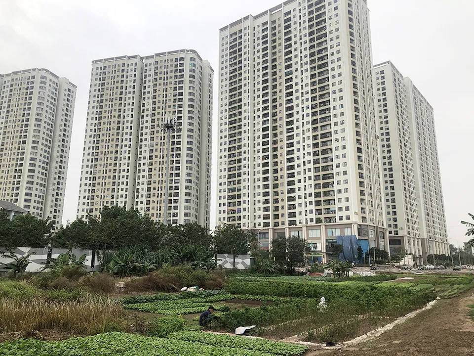 Hà Nội đề xuất người ở nhà thuê có diện tích tối thiểu trên 15 m2 mới được đăng ký thường trú. (Ảnh: TP) Hà Nội đề xuất người ở nhà thuê có diện tích tối thiểu trên 15 m2 mới được đăng ký thường trú. (Ảnh: TP)