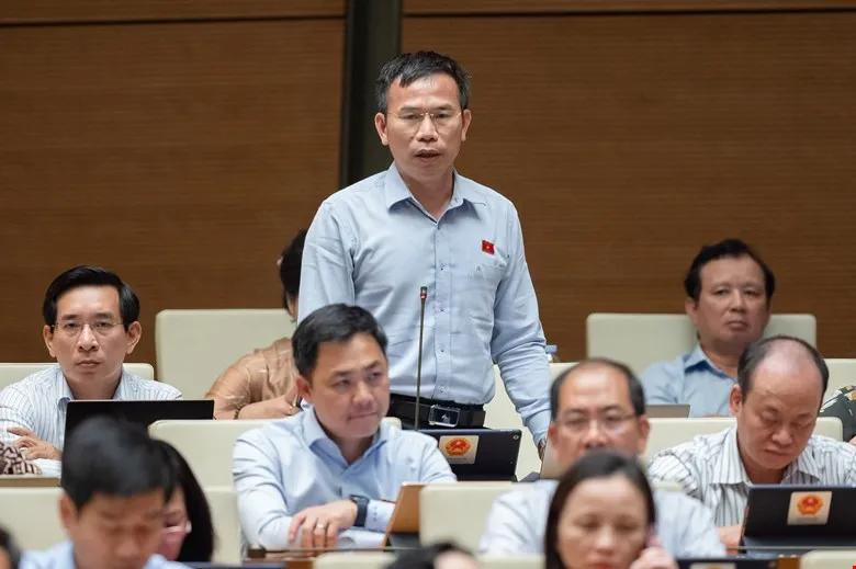 ĐB Đồng Ngọc Ba (Bình Định). Ảnh: QH